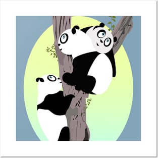 Pandas in a tree Posters and Art